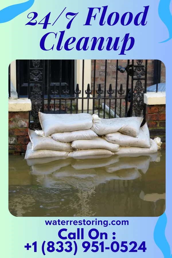 24/7 Flood Cleanup in Minor Hill, TN