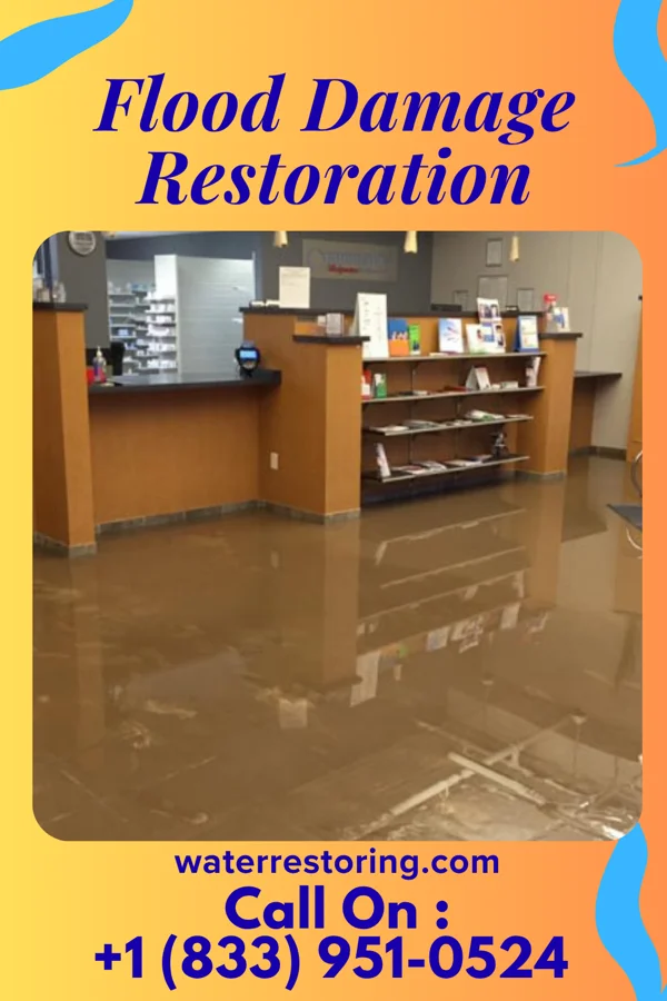 Flood Damage Restoration in Minor Hill, TN
