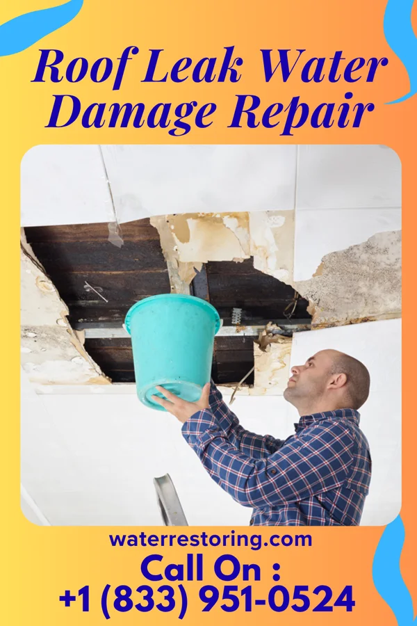 Roof Leak Water Damage Repair in Minor Hill, TN