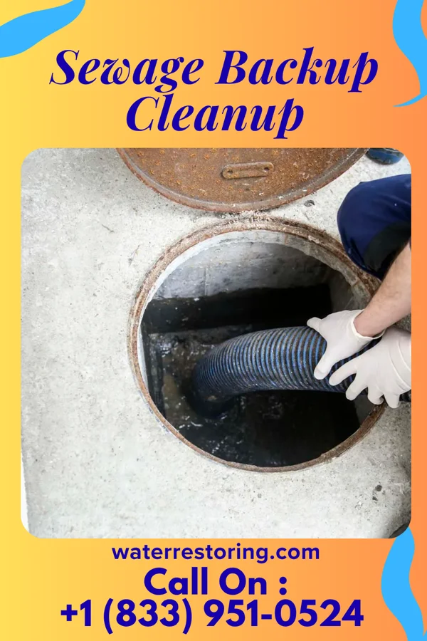 Sewage Backup Cleanup in Minor Hill, TN