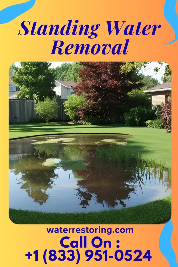 Standing Water Removal in Minor Hill, TN